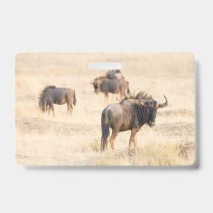 Crachá Grupo de gnus