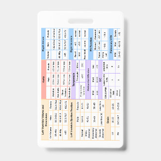 Crachá Guia de Referência Rápida do Echo Badge