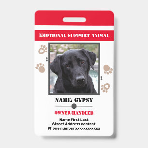 Crachá ID de Animal de Suporte Emocional Uma Opção de Fot