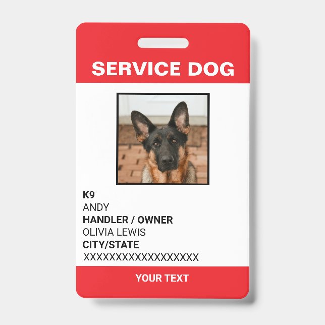 Crachá ID de Foto do Cachorro do Serviço de Cartão Ada Pe (Frente)