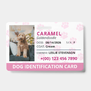 Crachá Identificação de Cachorro com Nome e Foto de Pegad
