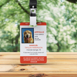 Crachá Identificação de Cão de Serviço Vermelho e Branco