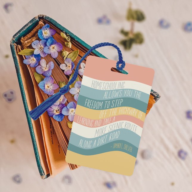 Crachá Indicador de Cota de Educação de Escolas Doméstica (Criador carregado)