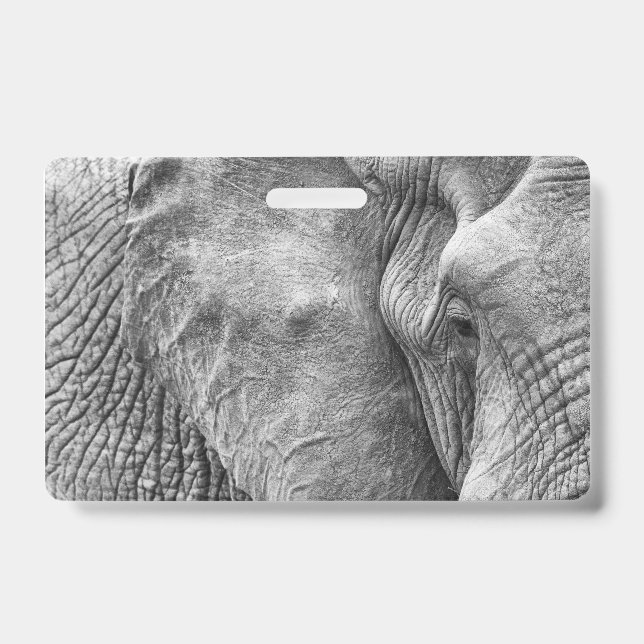 Crachá O olho de um elefante (Frente)