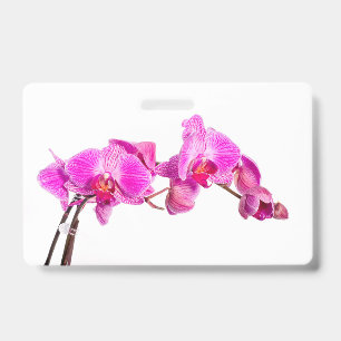 Crachá Orquídea