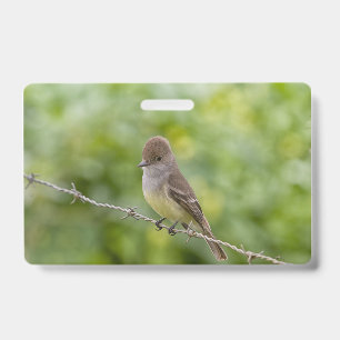 Crachá Papa-moscas