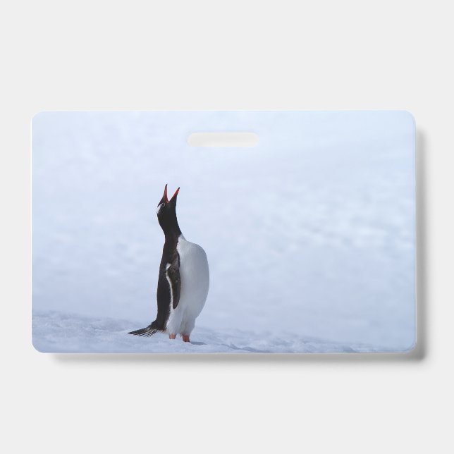 Crachá Pinguim-gentoo (Frente)
