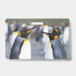 Crachá Pinguins-reis