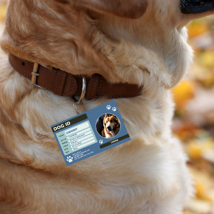 Crachá Placa de Identificação de Cachorro Moderna Azul Ve