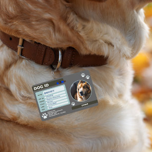Crachá Placa de Identificação de Cachorro Moderna Verde C