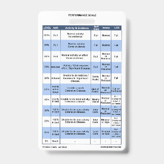 Crachá PPS / KPS Buddy para Enfermeiros de Cuidado