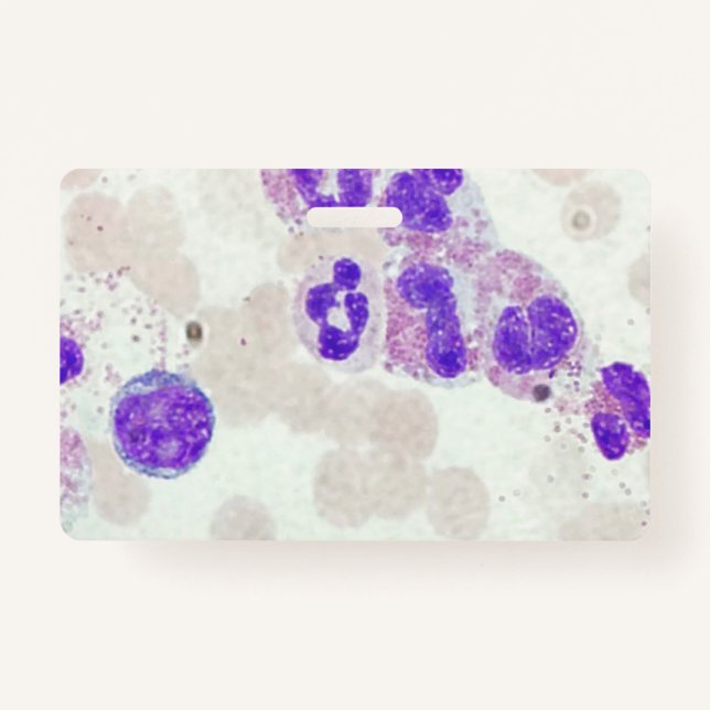 Crachá RBCs WBCs Slide Microscope Hematology Lab (Frente)