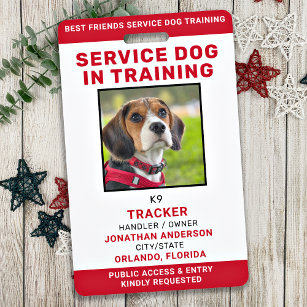 Crachá Service Dog In Training ID Card Personalizada