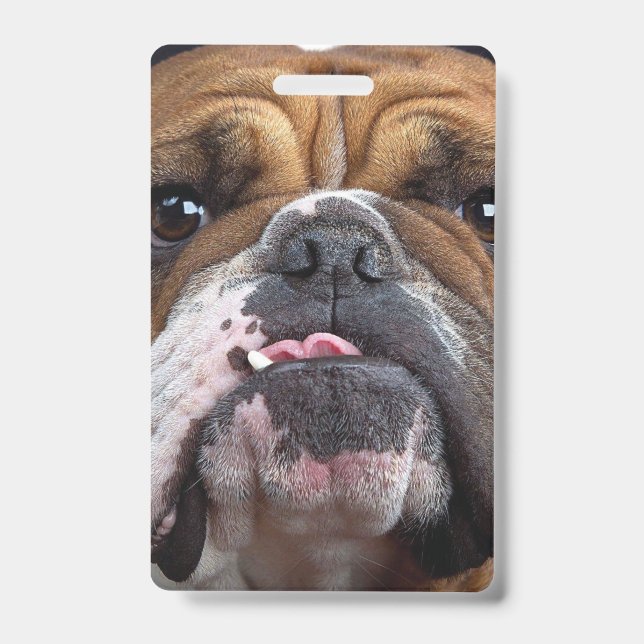 Crachá Travesseiro decorativo Inglês Bulldog (Frente)