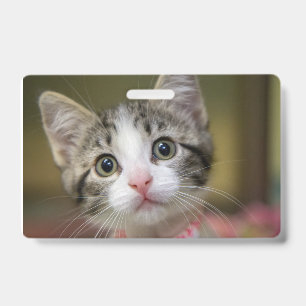 Crachá Um gatinho fofo com olhos verdes