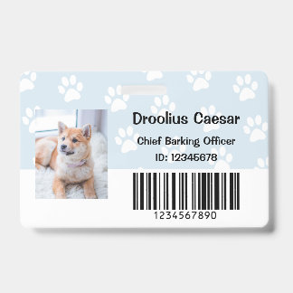 Crachá Veterinário de Cuidados com Animais de Estimação F