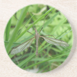 Crane Fly Porta copos