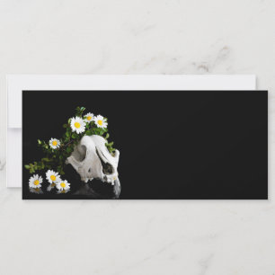 Crânio animal com uma coroa de flor selvagem