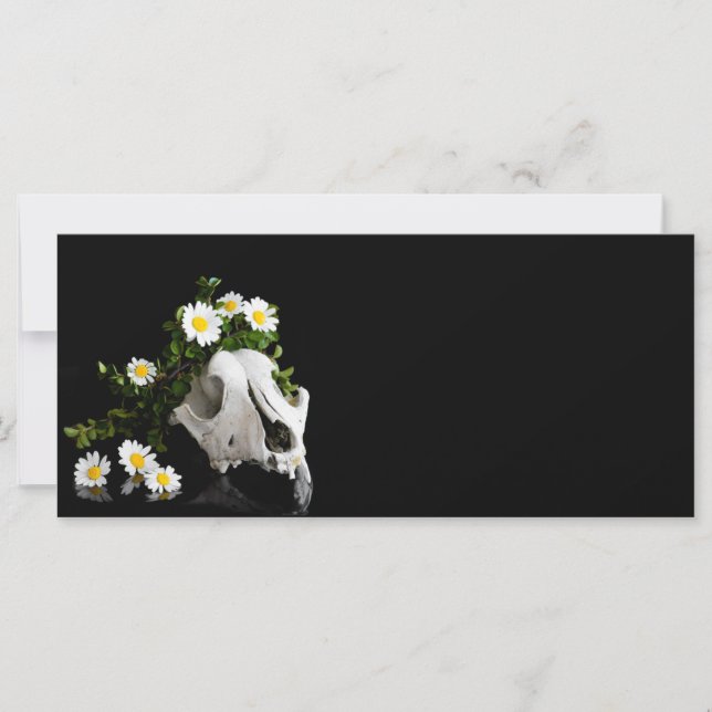 Crânio animal com uma coroa de flor selvagem (Frente)