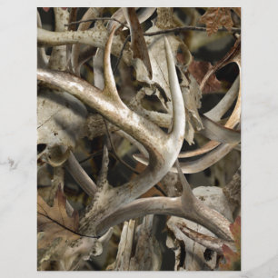 Crânios dos cervos de Camo