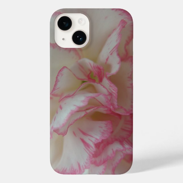 Cravo branco e rosa (Verso)