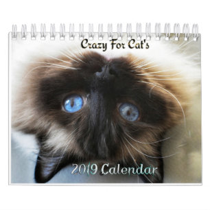 Crazy sobre o calendário das paredes do Cats 2023