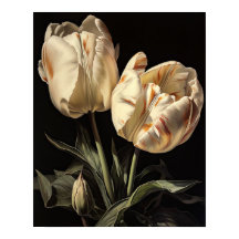 Cream Tulip Flowers Art Impressão
