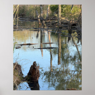 Creek Waterscape Refletions Photo Poster