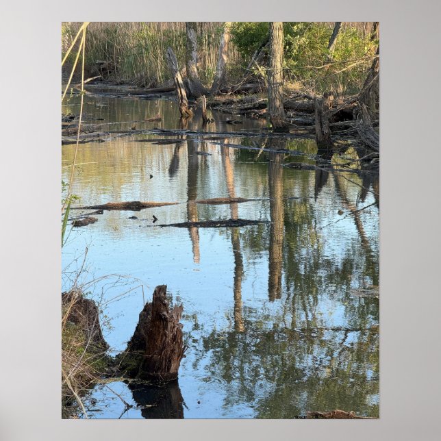 Creek Waterscape Refletions Photo Poster (Frente)