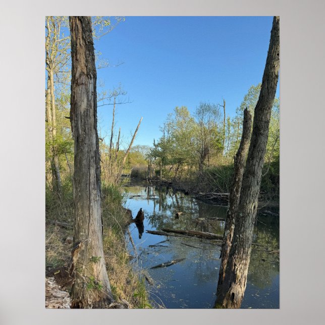Creek Waterscape Refletions Poster (Frente)