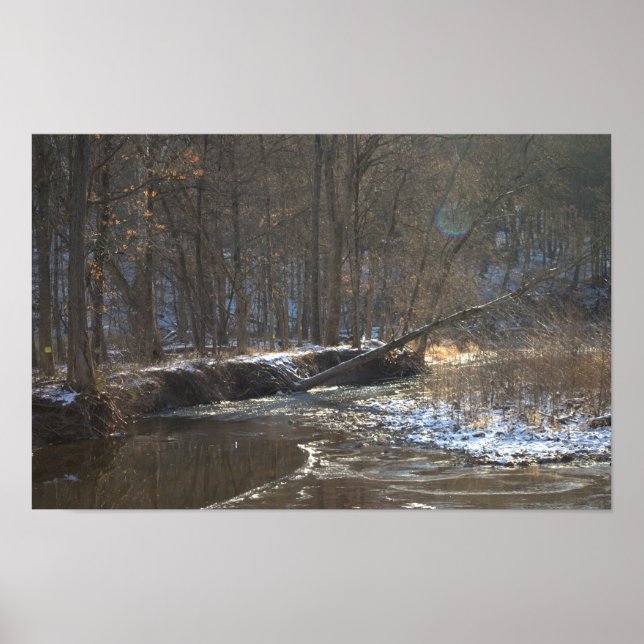 Creek Winter Waterscape Poster (Frente)