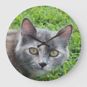 Creme Azul - Relógio de Parede do Gatinho Tortie