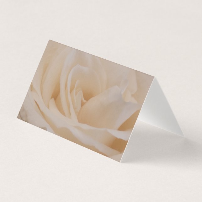 Creme - Placa de encerramento de Rosa com cores (Frente)