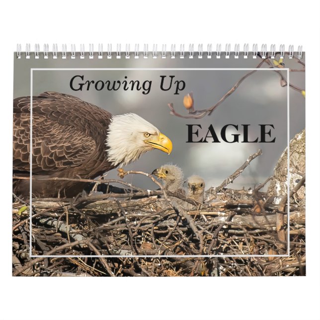 Crescendo Calendário do EAGLE (Capa)