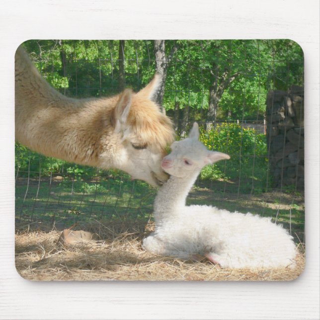 Cria novo Mousepad (Frente)