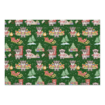 Crianças Bebidas Festivas Festivas Cuecas de Natal