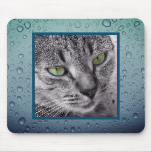 Criar seu próprio mousepad do animal de estimaç