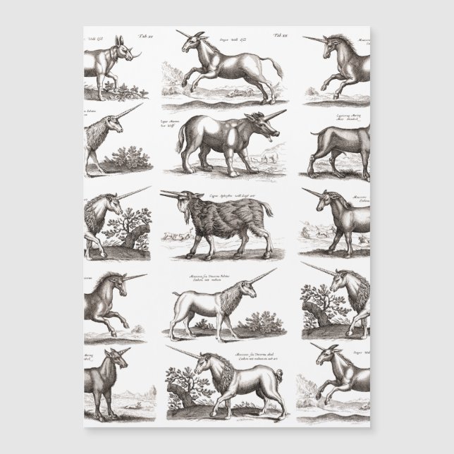 Criatura Mágica Clássica do Unicórnio Antiquado (Frente)