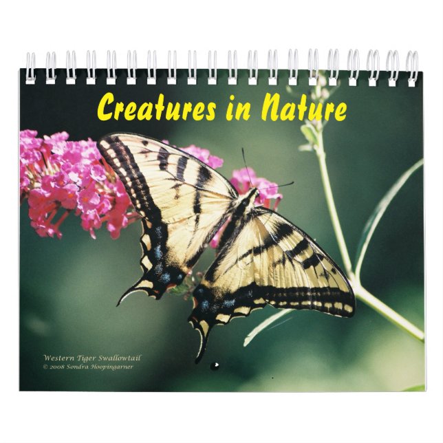 Criaturas no calendário da natureza (Capa)