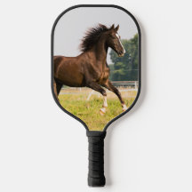 Crie a Foto do Seu Cavalo de Estimação Personaliza