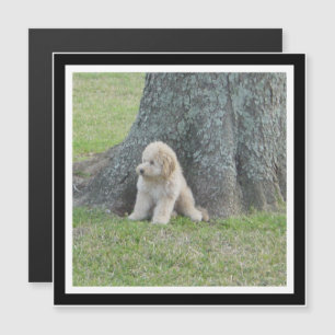 Crie o seu próprio ímã de fotos ao quadrado preto