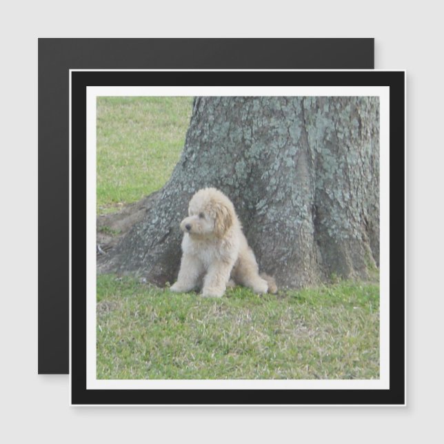 Crie o seu próprio ímã de fotos ao quadrado preto  (Frente/Verso)