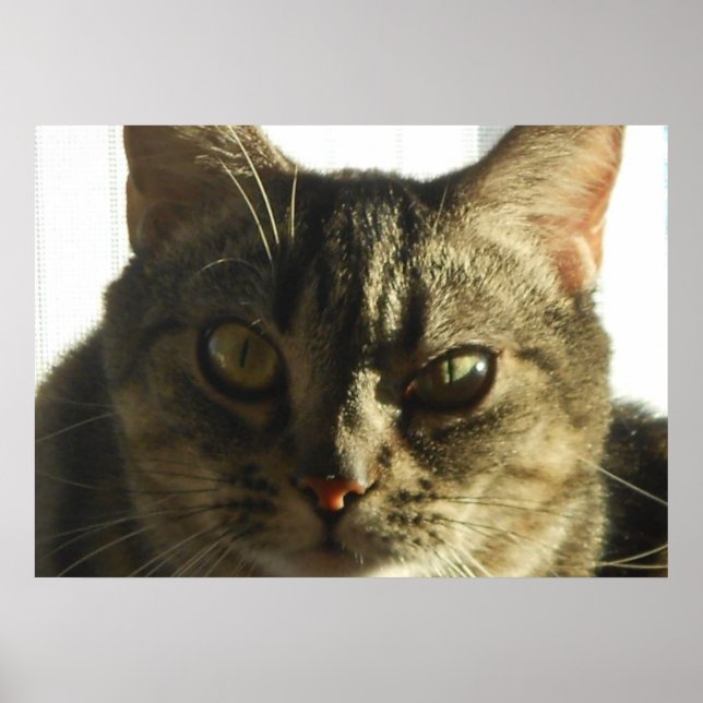 Crie seu próprio Poster de 28" x 20" (Frente)