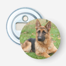 Crie Sua Própria Foto Personalizada de Animal de E