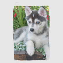 Crie Sua Própria Foto Personalizada de Animal de E