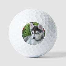 Crie sua própria foto personalizada de animal de e