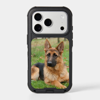 Crie Sua Própria Foto Personalizada de Animal de E