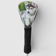 Crie Sua Própria Foto Personalizada de Animal de E