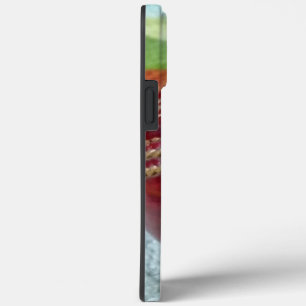 Críquete: Impressão de Bola de Duro Vermelho