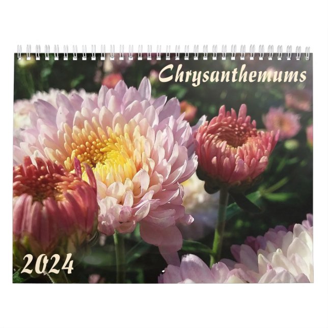 "crisântemos" Calendário floral Feng Shui (Capa)
